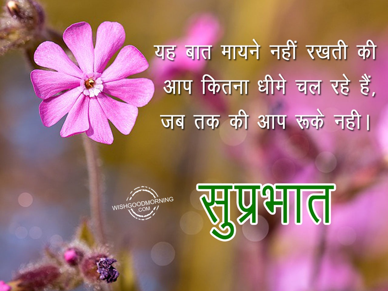 Good Morning Messages Hindi