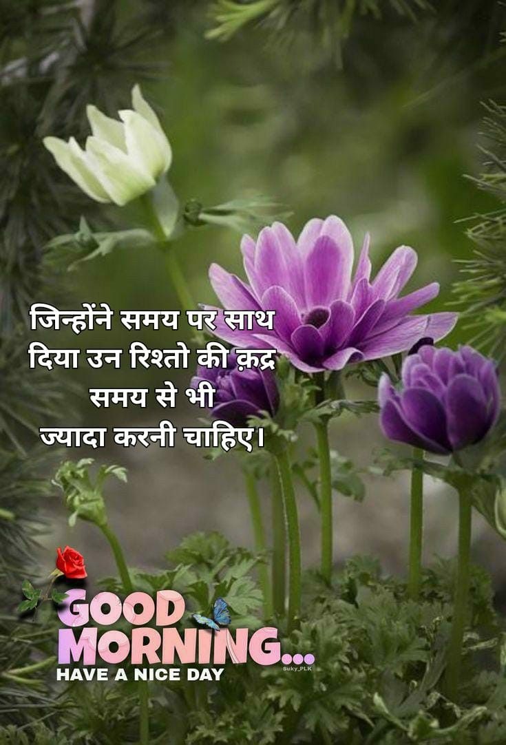 Good Morning Messages Hindi