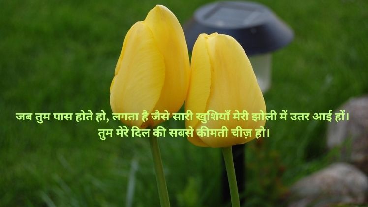 Love SMS for Girlfriend in Hindi