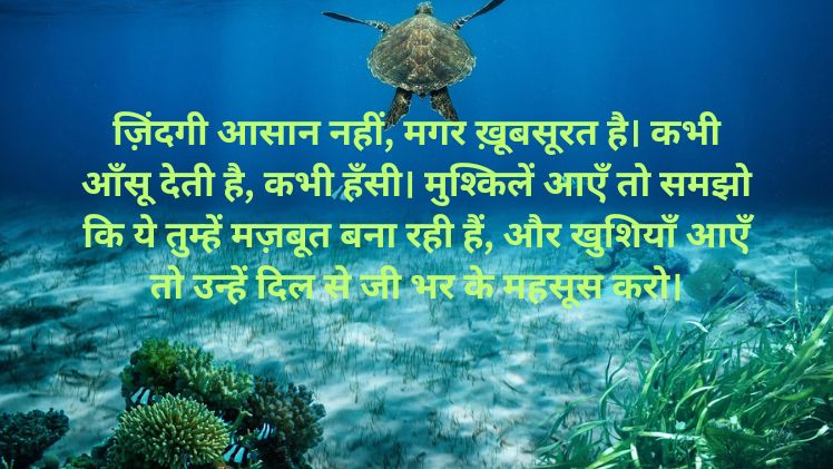 Zindagi Shayari Hindi Image