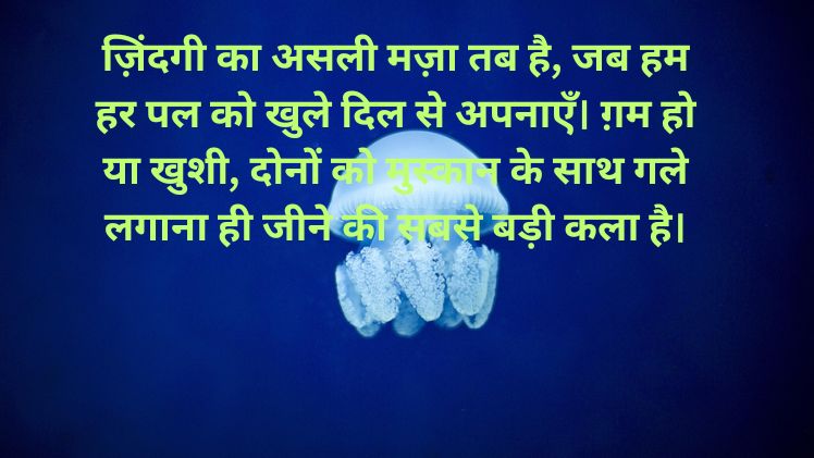 Zindagi Shayari Status