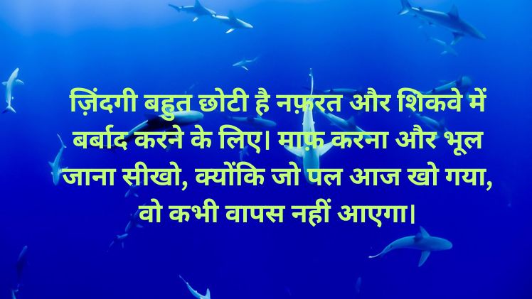 Zindagi Shayari in Hindi Image