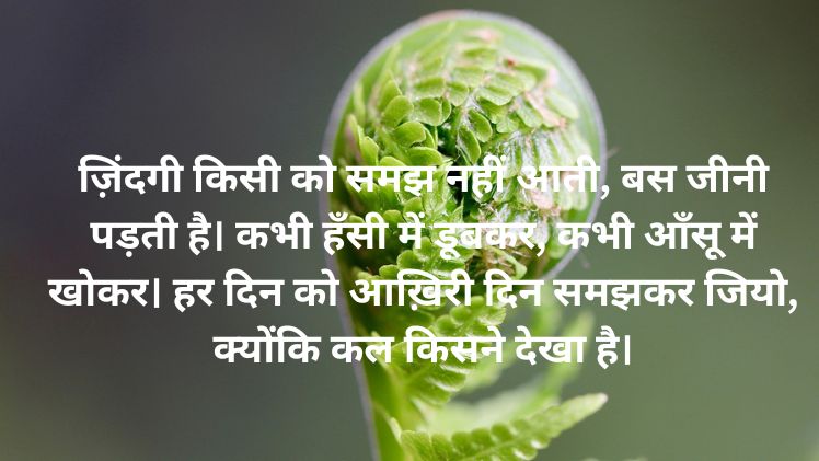 Zindagi Shayari in Hindi Whatsapp Image