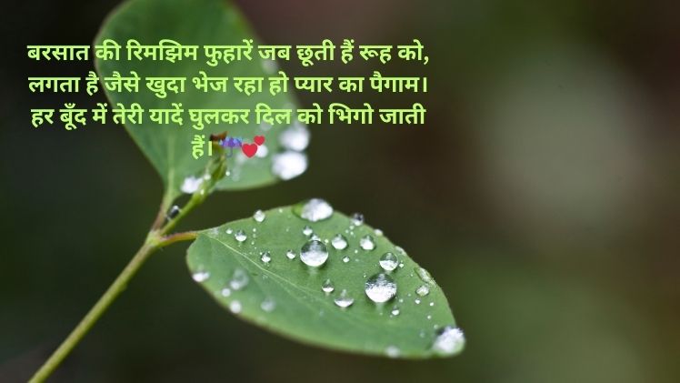 Barish Shayari Image
