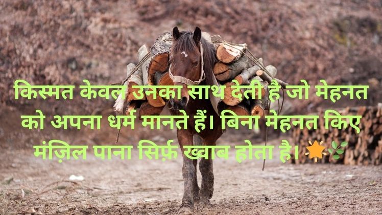 Mehnat Status Image