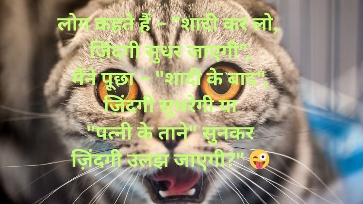 Funny Shayari in Hindi Image