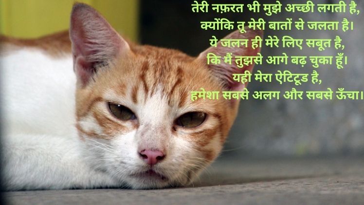 Attitude Shayari Hindi