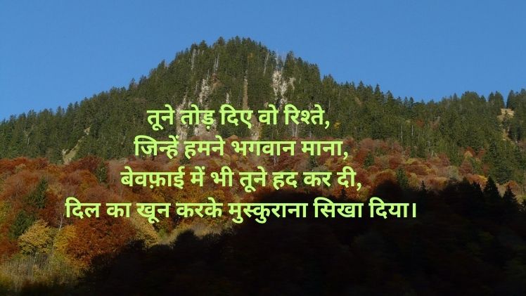 Bewafa Shayari in Hindi