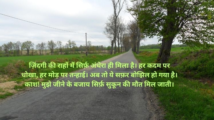Hate My Life Status Hindi