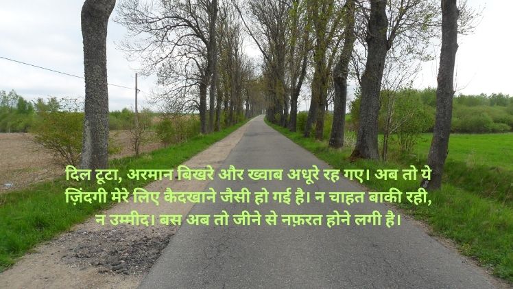 I Hate My Life Shayari