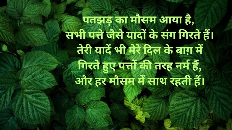 Mausam Shayari