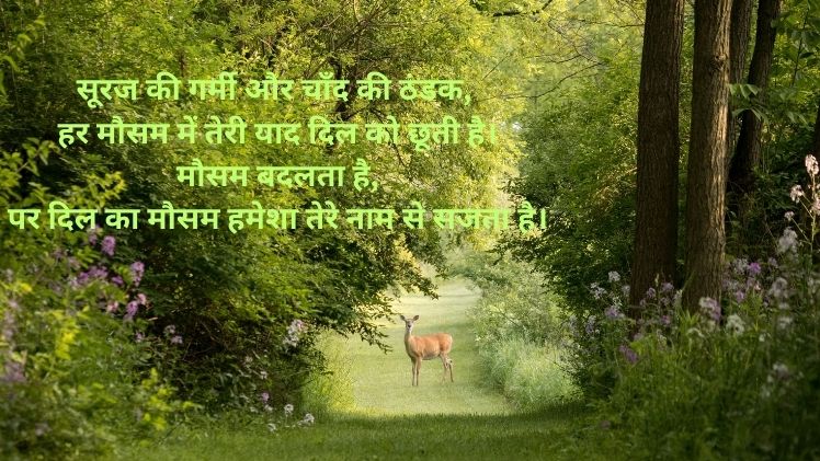 Pyar Bhari Mausam Shayari